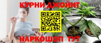 каннабис Будённовск