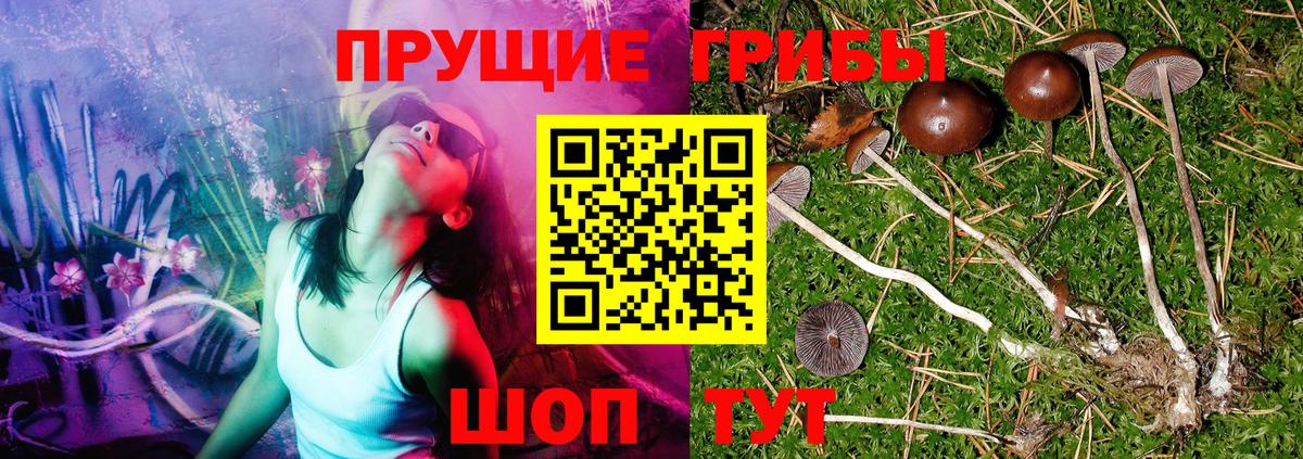 купить   Вход с VPN  Похвистнево  Псилоцибиновые грибы мухоморы 